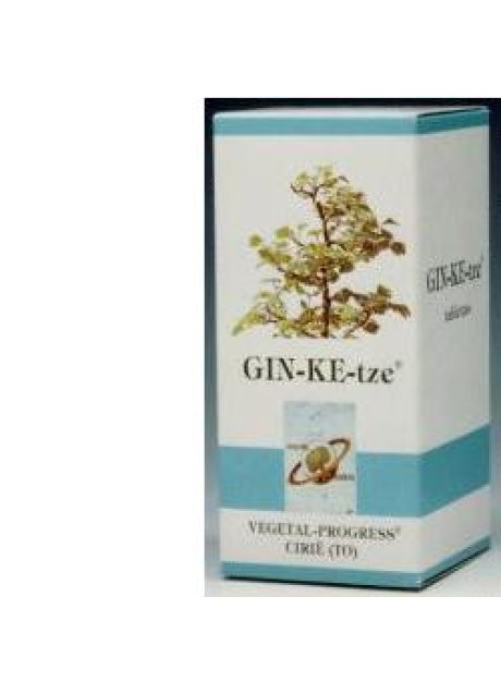 GINKETZE BIO 80TAV 600MG