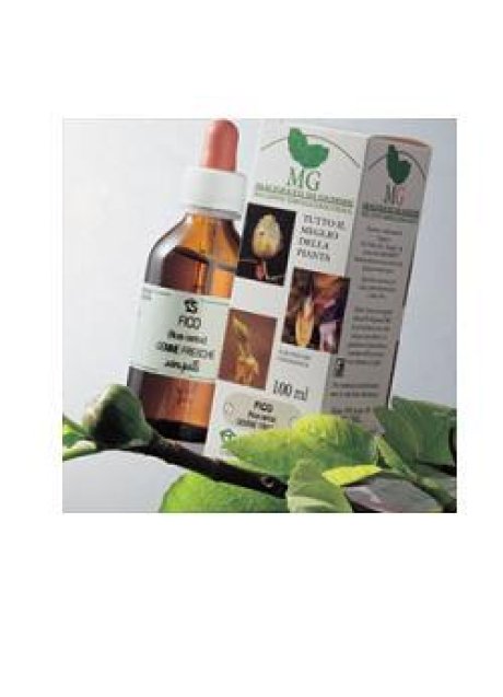 BETULA VERRUCOSA 100ML MG