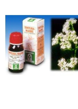 VALERIANA TM 50ML GTT SPECCHIA