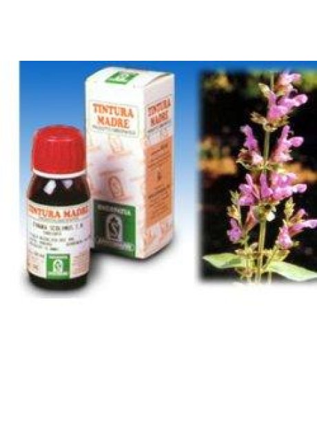 SALVIA 25 50ML TM