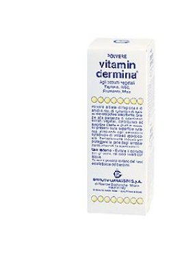 VITAMINDERMINA POLVERE ESTR VEG