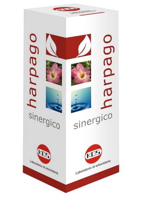 HARPAGO SINERGICO GTT 100ML