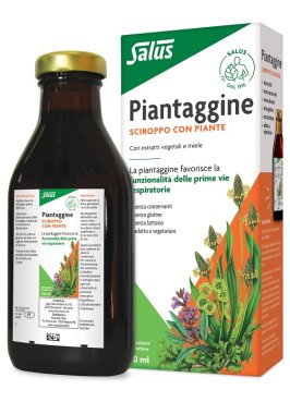 PIANTAGGINE 250ML