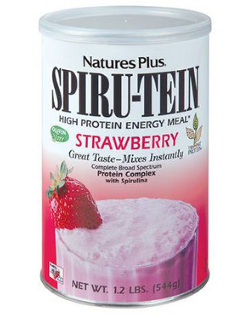 SPIRUTEIN FRAGOLA 544G STREGA