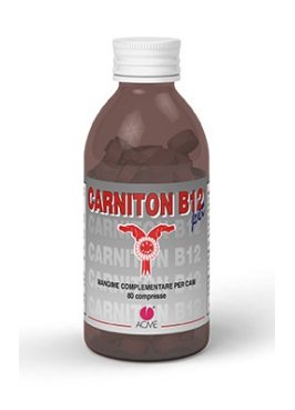 CARNITON-B12 PET 80CPR 80G