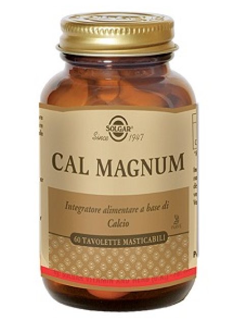 CAL MAGNUM MASTIC 60 TAVOLETTE