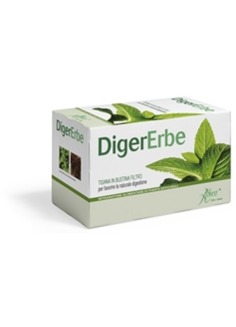 DIGERERBE 20 FILTRI TISANA 40 G