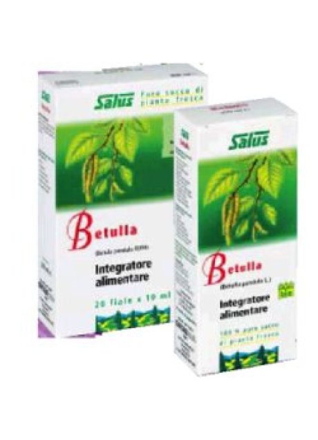 BETULLA SUCCO 200ML BIO