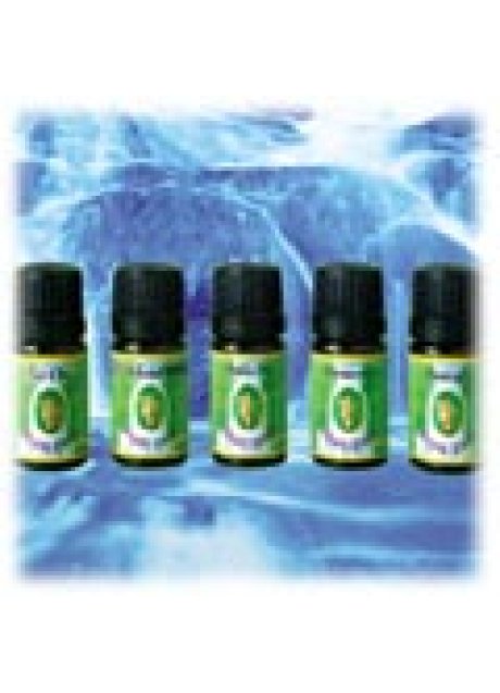 FLORA MISC PROF ENERGIA 5ML