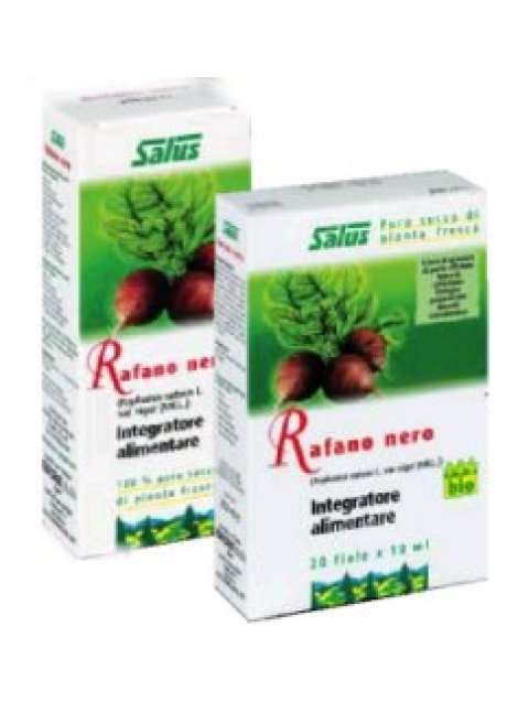 RAFANO NE SUCCO S/ALC 200ML