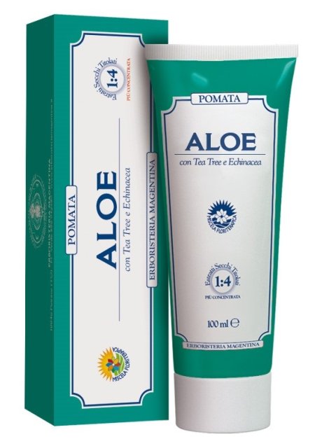 ALOE POM ECZEMI 100ML