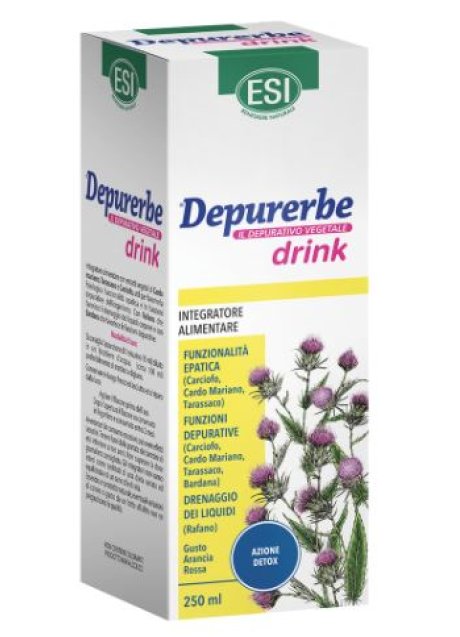 DEPURERBE DRINK 250ML ESI