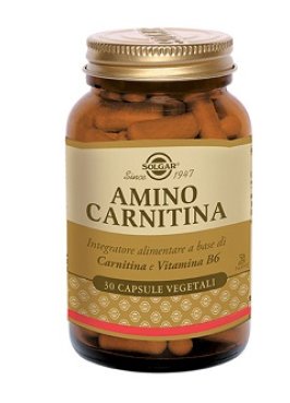 AMINO CARNITINA 30 CAPSULE