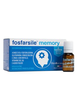 FOSFARSILE MEMORY INT 10FLNI