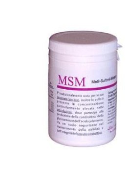 MSM LIVI POLVERE 150G