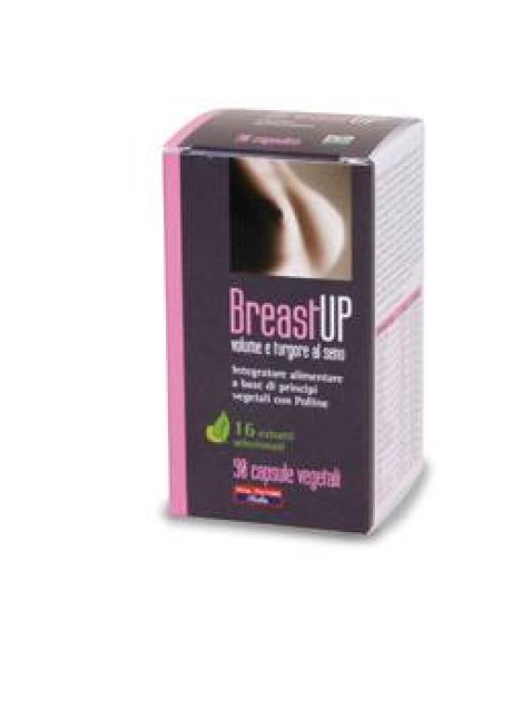 BREAST UP 90 CAPSULE