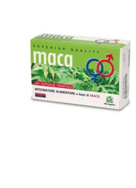 MACA 60CPS