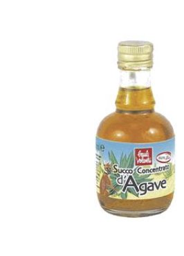 SUCCO CONC AGAVE 250ML