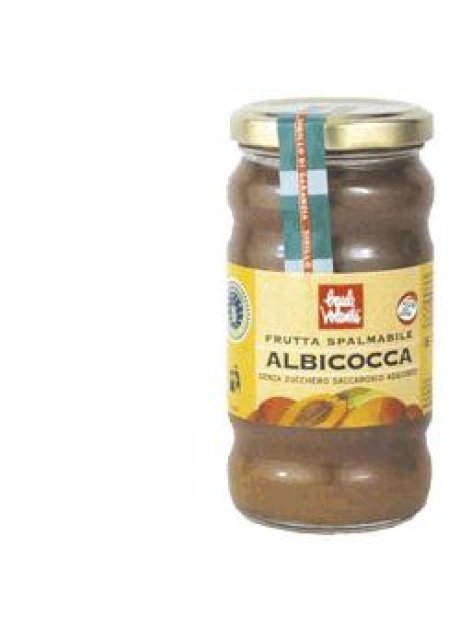 FRUTTA SPALMAB ALBICOCCA 280G