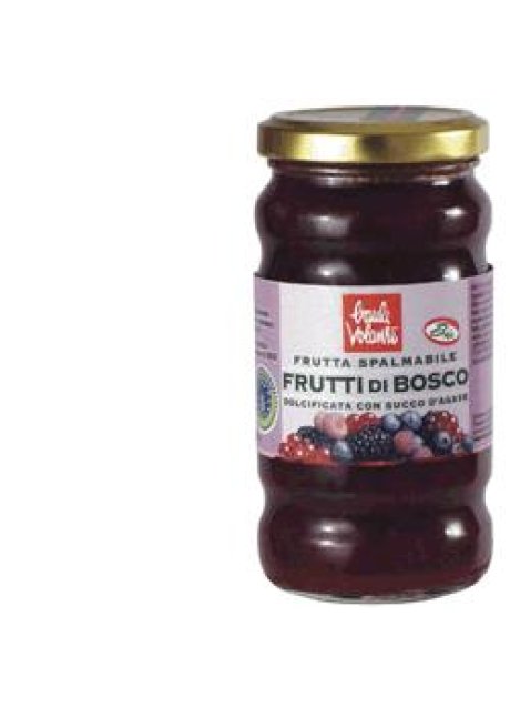 FRUTTA SPALMAB FRUT BOSCO 280G