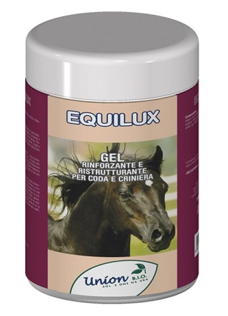 EQUILUX GEL RINF CRINE 1L