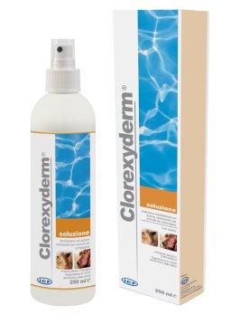 CLOREXYDERM SOLUZIONE 250 ML