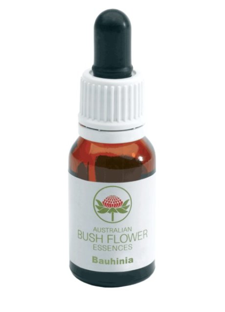 BAUHINIA AUSTRALIAN 15ML