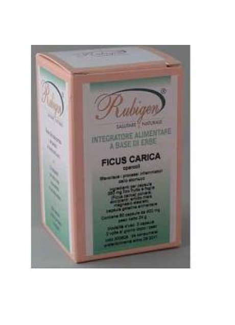 FICUS CARICA 60CPS