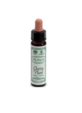 AINSWORTHS CHERRY PLUM 10ML