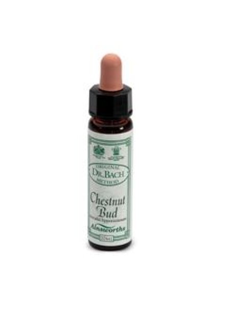 AINSWORTHS CHESTNUT BUD 10ML