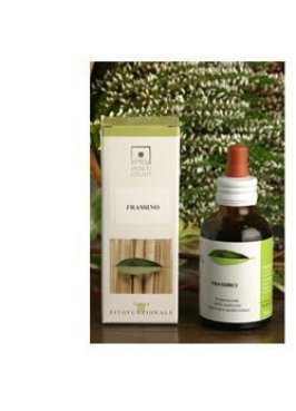 GINKGO BIO 50ML STV