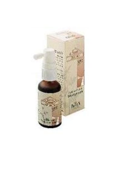 CORO ERISIMO SPRAY 20ML PROMIN