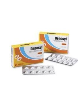 DENOSYL 10CPR 90MG