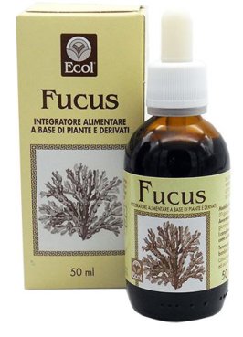 FUCUS ESTR ANALCO 50ML 796 ECO