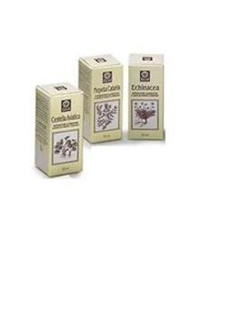 NEPETA CATARIA E.A. 50ML (799) E