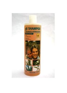 SHAMPOO NORM ANTIFORF GRAS 1LT