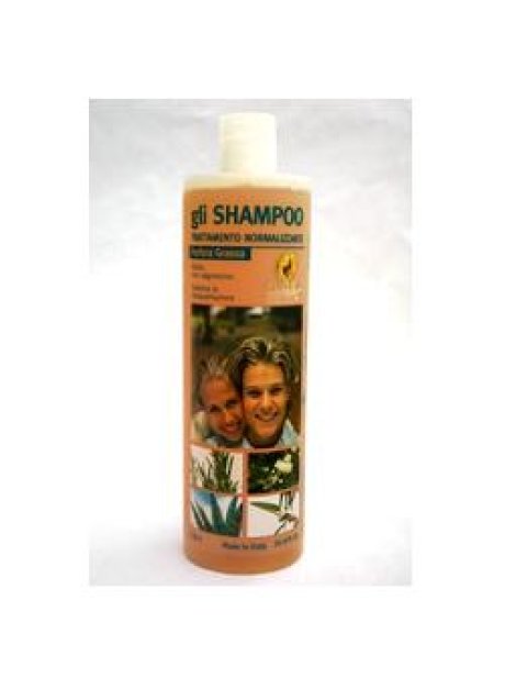 SHAMPOO NORM ANTIFORF GRAS 1LT