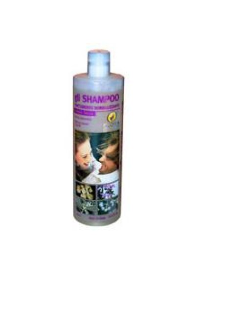 SHAMPOO NORM ANTIFORF SEC 1L