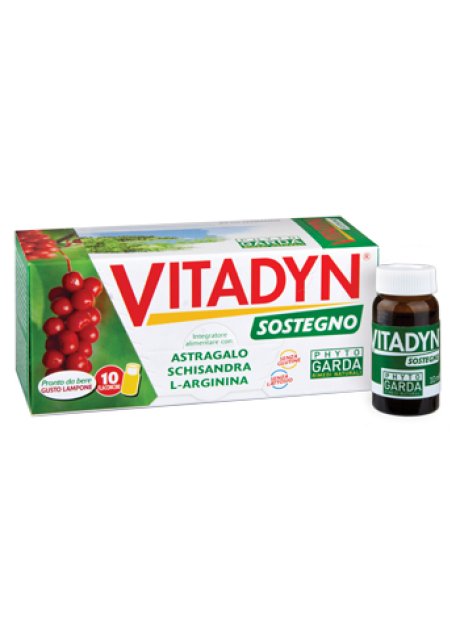 VITADYN SOSTEGNO 10 FLACONCINI 10 ML