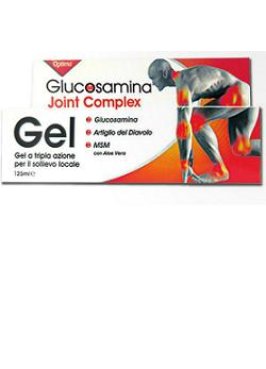 GLUCOSAMINA JOINT COMPLEX GEL 125 ML