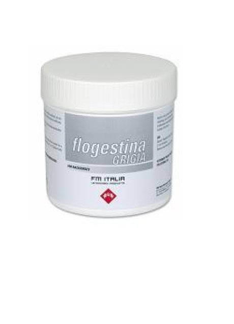 FLOGESTINA GRIGIA PASTA 1KG