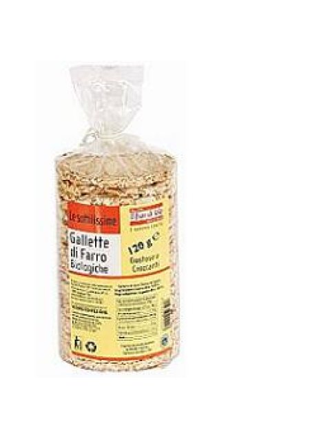 GALLETTE FARRO 120G 0410