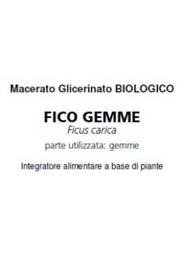 FICO GEMME BIO MG 500ML FTM