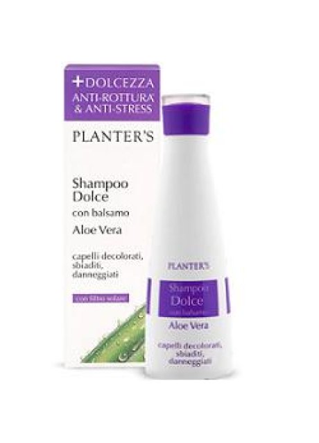 PLANTERS SH DOLCE ALOE VERA