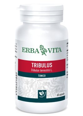 TRIBULUS TER 60CPS 500MG EBV