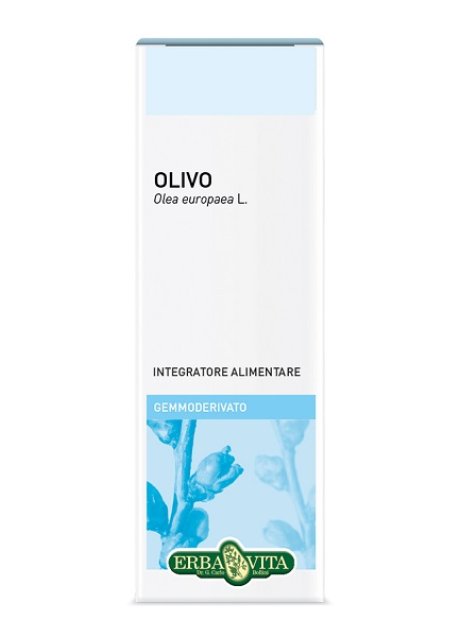 GEMMODERIVATO OLIVO 50ML