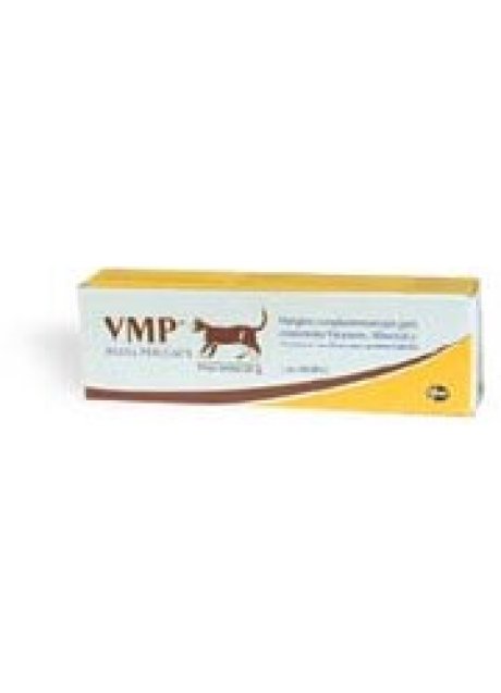 VMP PASTA PER GATTI TUBO 50 G