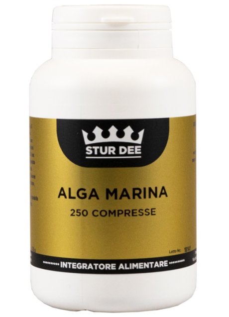 ALGA MARINA 250TAV STUR DEE