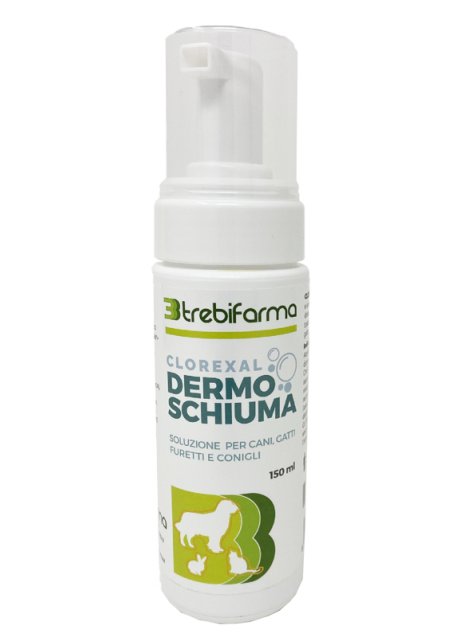 CLOREXAL DERMOSCHIUMA 150ML