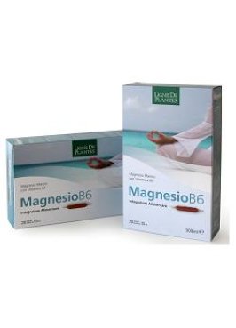 MAGNESIO B6 20AB 15ML